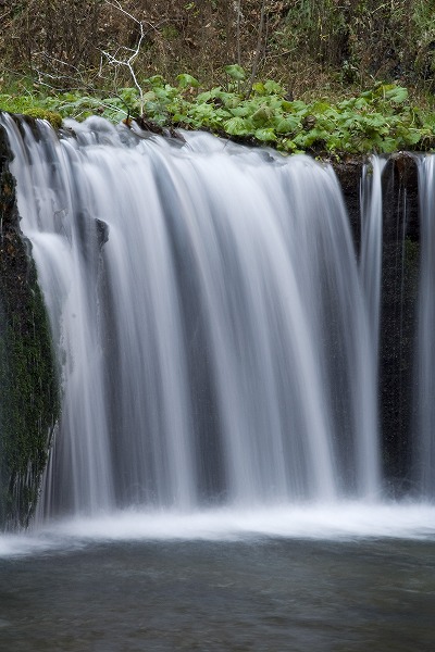 滝の画像
